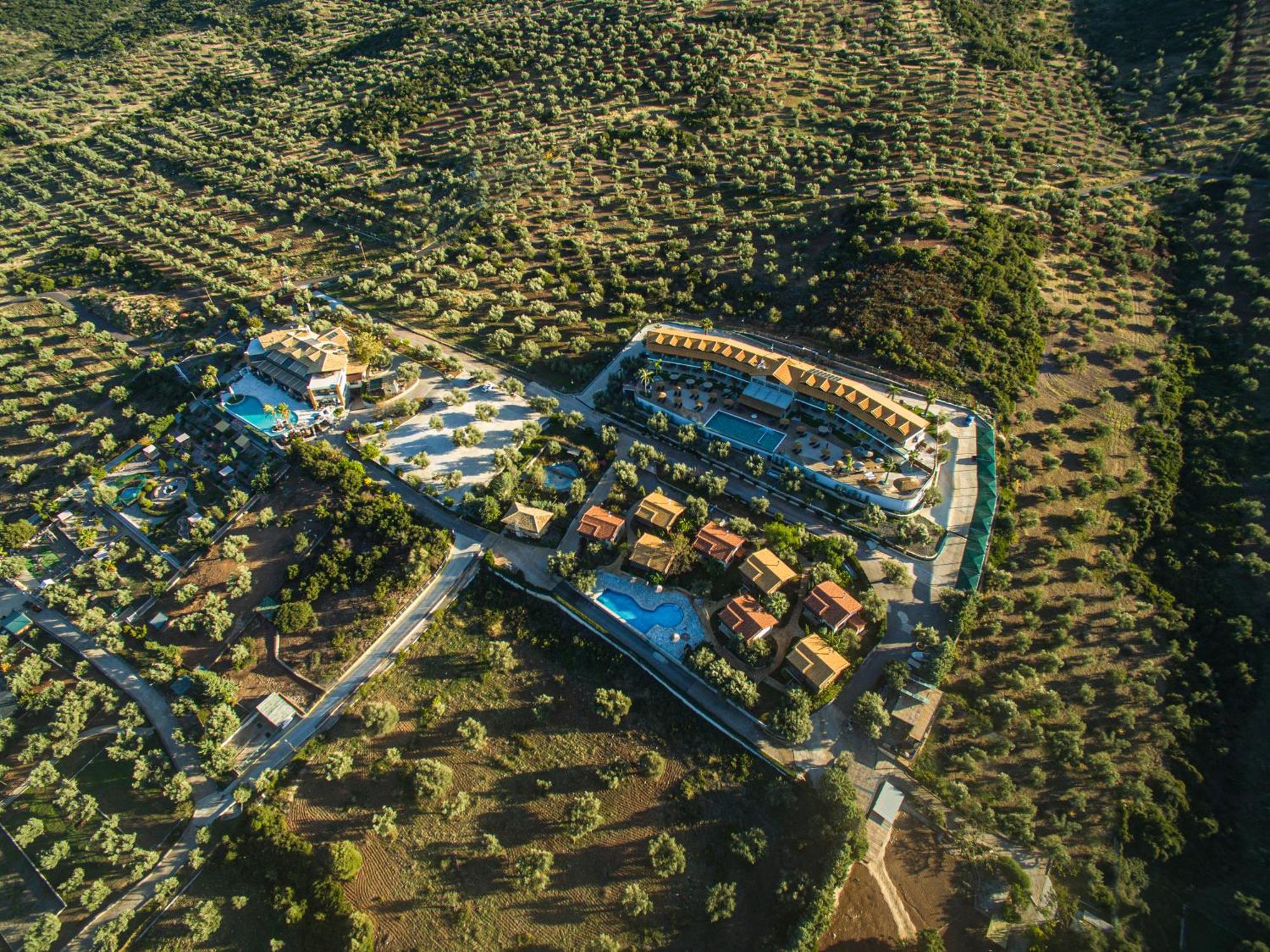 Anthidon Nature Estate & Farm Χαλκίδα Εξωτερικό φωτογραφία