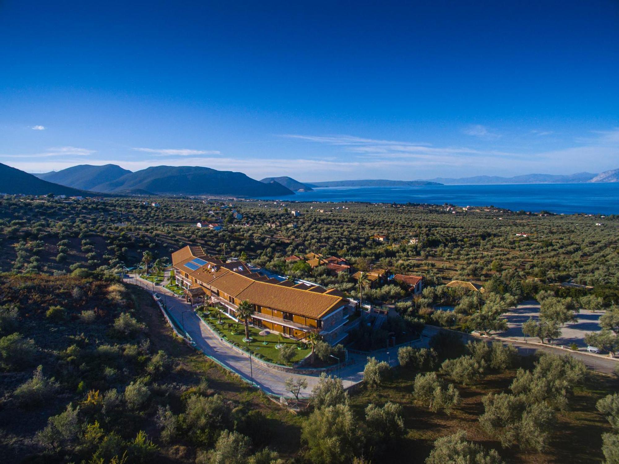 Anthidon Nature Estate & Farm Χαλκίδα Εξωτερικό φωτογραφία