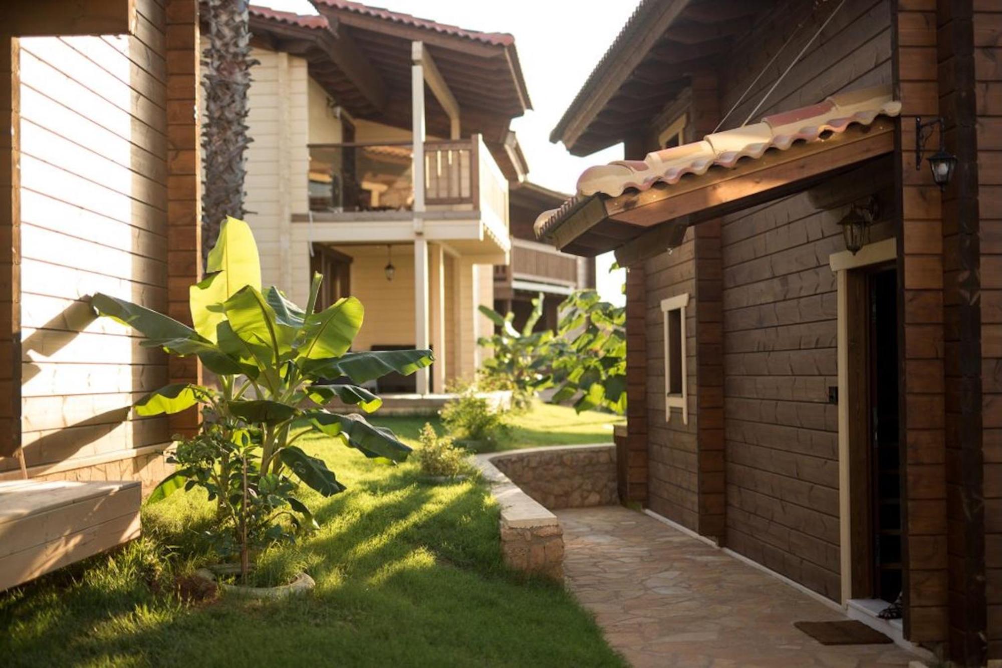 Anthidon Nature Estate & Farm Χαλκίδα Δωμάτιο φωτογραφία